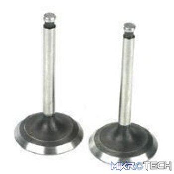 Valve ( in & out )  FA220